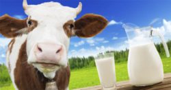 Молоко сырое соответствует требованиям ТР ТС!