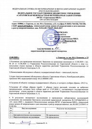 Органом инспекции Саратовской МВЛ проведены фитосанитарные экспертизы подкарантинных объектов