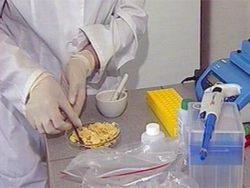 Саратовская МВЛ рекомендует правильно определять качество пельменей по основным признакам