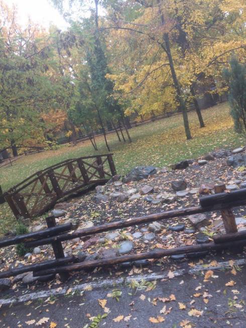 Сазонова  Татьяна Николаевна