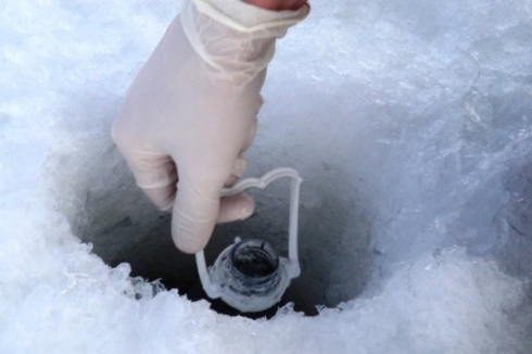 В Саратовской МВЛ проводят экспертизу и срочный анализ воды