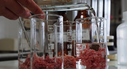 Проведение исследований мяса для определения свежести