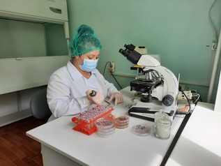 При исследованиях на лейкоз КРС выявлено 7 животных – вирусоносителей