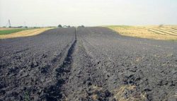 Паразитологическое исследование почвы