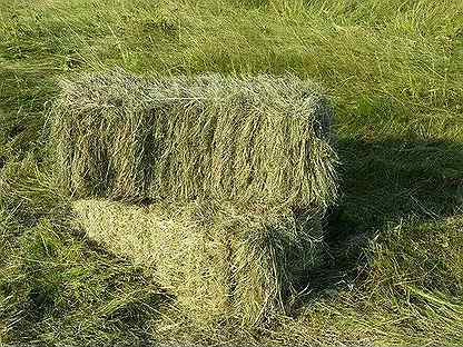 ФГБУ 
