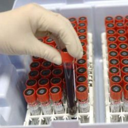 О работе отдела инспекции за 5 месяцев 2018 г.