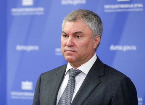 Володин возмутился неработающим бассейном в Романовке