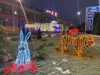 В Энгельсском доме-интернате интересно и ярко прошли новогодние мероприятия