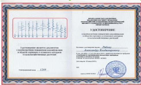 Специалист Саратовской МВЛ повысил квалификацию в ФГБНУ ВСТИСП по определению посевных качеств семян отдела фитосанитарной экспертизы 