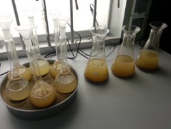 Государственное задание на 2017 год в области агрохимии и плодородия почв выполнено