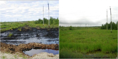 Восстановление плодородия земель после проведения земляных работ