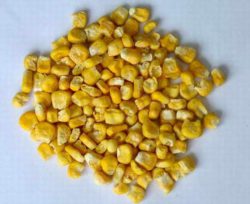 Выявлены несоответствия в пробах сафлора и кукурузы продовольственной