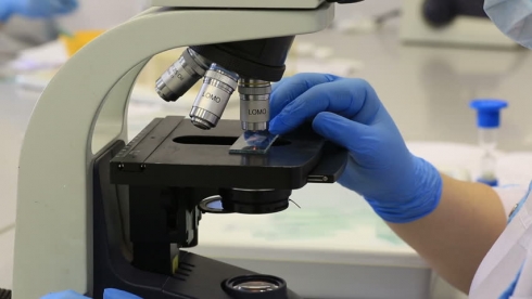 В ветлаборатории проведены исследования на псевдомоноз в рамках выполнения государственного задания