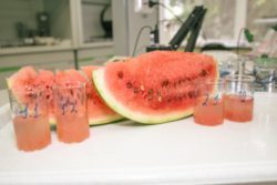 В первых арбузах превышение нитратов не выявлено!