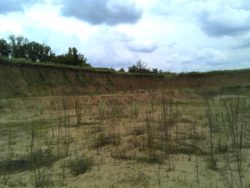 Проведена почвоведческая экспертиза