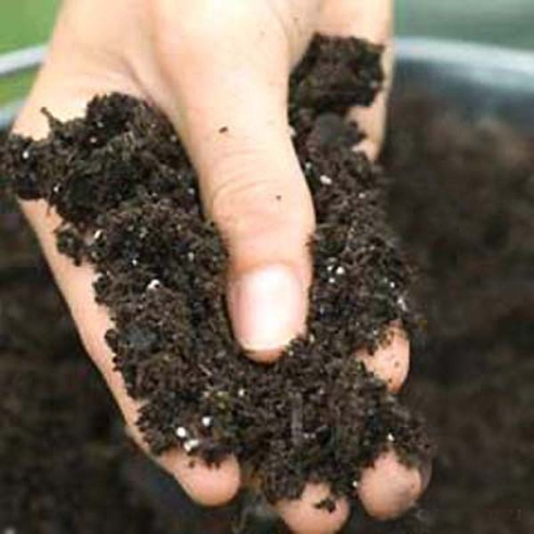 Задачи отдела агрохимического анализа