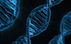 Генетический материал возбудителей опасных заболеваний саратовской ветлабораторией не обнаружен