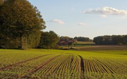Плодородие почв Саратовской области