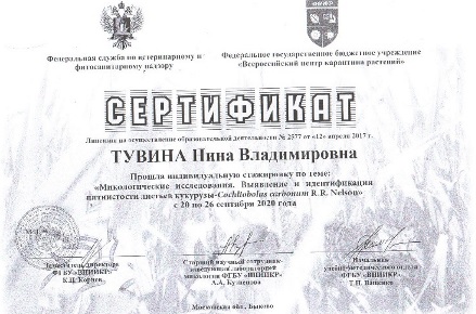 О прохождении индивидуальной стажировки на базе ФГБУ «ВНИИКР»