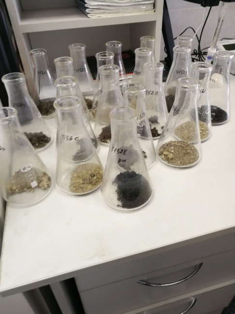 Проведенные исследования образцов показывают в сельхозпредприятиях области наличие кислых почв