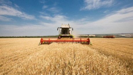 Заместитель главы правительства Алексей Гордеев утвердил дорожную карту по созданию брендов экологически чистой продукции