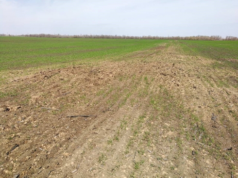 Снижение показателей плодородия земель в Турковском районе не подтверждено
