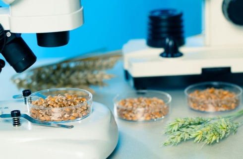 Краткий анализ работы отдела фитосанитарной экспертизы за апрель 2019 года