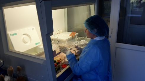 За 6 месяцев т.г. сальмонеллы в пищевых продуктах не обнаружены