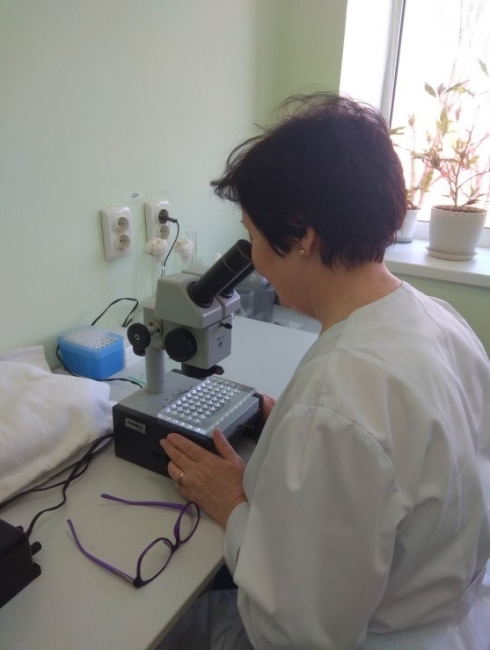 ФБГУ «Саратовская МВЛ» оснащена всем необходимым для исследования кормов на токсичность