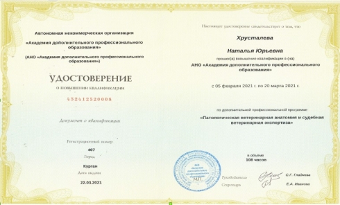 Повышение квалификации сотрудников отдела патоморфологии и приема материала