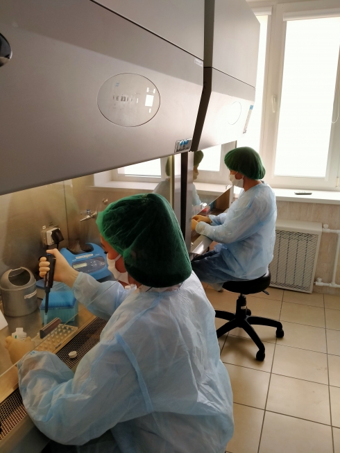 Специалисты не выявили генетически модифицированных организмов