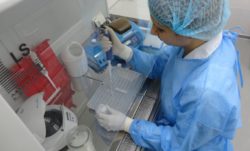 Саратовская ветлаборатория не обнаружила в кормах ГМО не обнаружено