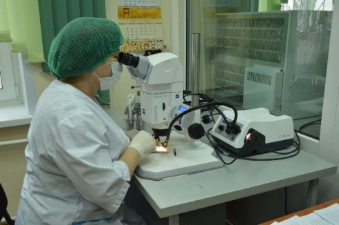 В ячмене продовольственном выявлен карантинный объект