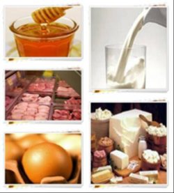 Потенциально опасные вещества в пищевой продукции не обнаружены