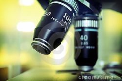Специалисты отдела вирусологии и гематологии провели 856 исследований за неделю