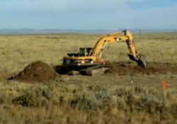 На землях сельскохозяйственного назначения лабораторно подтверждено снижение показателей плодородия