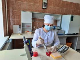 Проведены исследования на блютанг — результат отрицательный