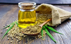 МВЛ: Качество конопляного масла соответствует ГОСТу