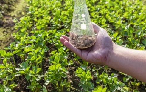 Саратовская ветлаборатория проводит токсикологические исследования почвы 