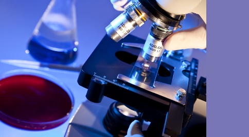 Специалисты отдела вирусологии и гематологии Саратовской МВЛ отчитались о проделанной работе