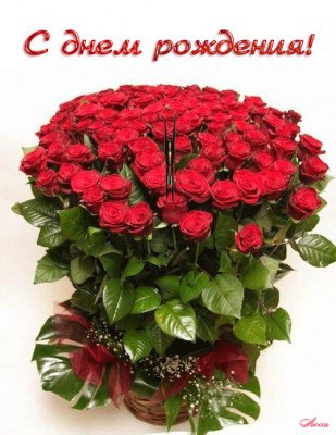 С днем рождения, Сергей Алексеевич!