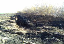  Органа инспекции ФГБУ «Саратовская МВЛ» проведена почвоведческая экспертиза