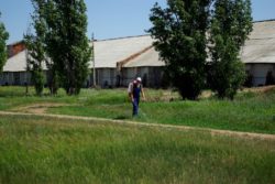 На базе ФГБУ «Саратовская МВЛ» согласно устава и технического регламента, осуществляет свою деятельность фумигационный отряд