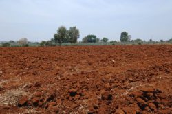 Специалисты ФГБУ «Саратовская МВЛ» проводят комплексное агрохимическое обследование земель сельскохозназначения