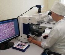 В ФГБУ «Саратовская межобластная ветеринарная лаборатория» проведены гистологические исследования на туберкулез