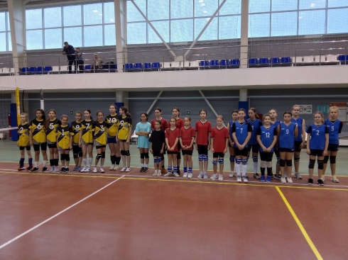 Петровские волейболистки победили соперниц на домашнем турнире