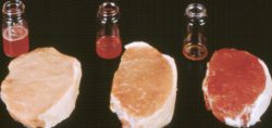 Ветсанэкспертиза мяса проводится в саратовской ветлаборатории