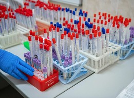 Качество дезинфекции удовлетворительное