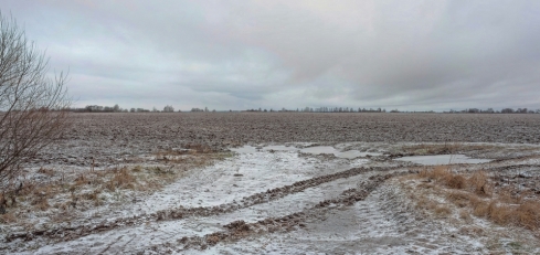 На землях сельскохозяйственного назначения обнаружено нарушение земельного законодательства РФ
