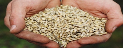 Итоги работы филиала ФГБУ «Саратовская МВЛ» в Республике Мордовия за 2017 год